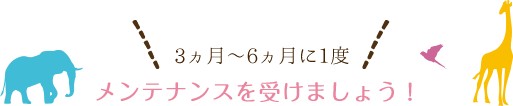 3ヶ月〜6ヶ月に1度 メンテナンスを受けましょう！